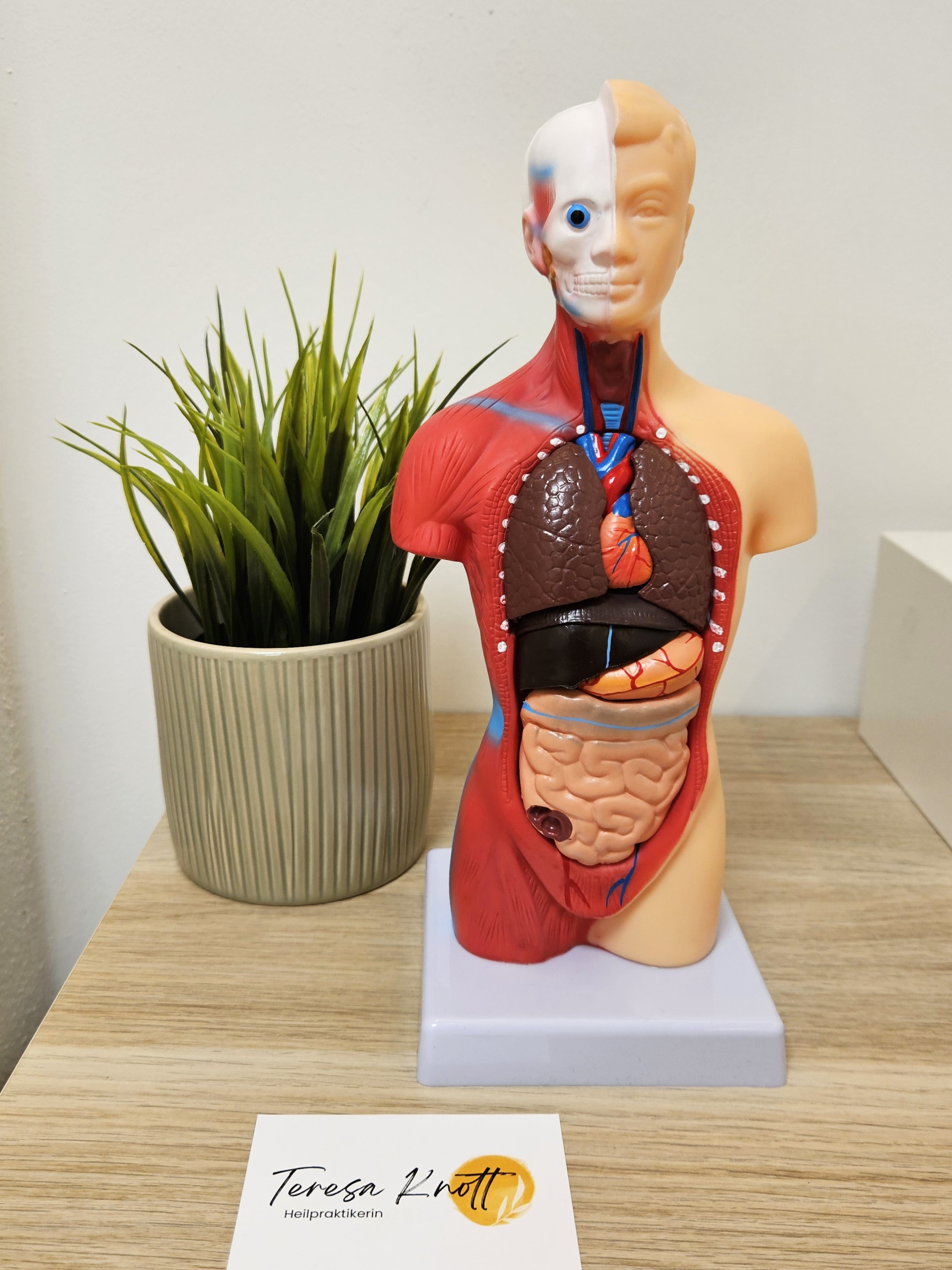 Wenn dein Bauch spricht – hörst du dann hin?